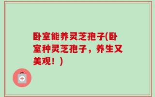 卧室能养灵芝孢子(卧室种灵芝孢子，养生又美观！)