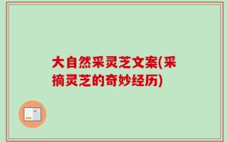 大自然采灵芝文案(采摘灵芝的奇妙经历)