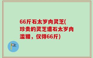 66斤石太岁肉灵芝(珍贵的灵芝遭石太岁肉滥猎，仅得66斤)