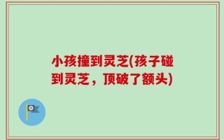 小孩撞到灵芝(孩子碰到灵芝，顶破了额头)