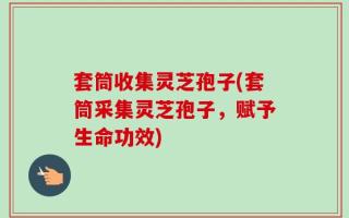 套筒收集灵芝孢子(套筒采集灵芝孢子，赋予生命功效)