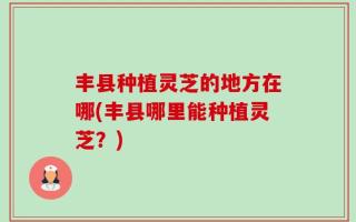 丰县种植灵芝的地方在哪(丰县哪里能种植灵芝？)