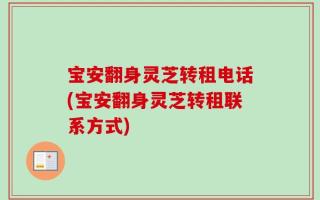 宝安翻身灵芝转租电话(宝安翻身灵芝转租联系方式)