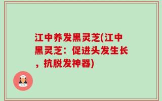 江中养发黑灵芝(江中黑灵芝：促进头发生长，抗脱发神器)