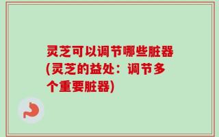 灵芝可以调节哪些脏器(灵芝的益处：调节多个重要脏器)