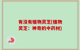 有没有植物灵芝(植物灵芝：神奇的中药材)