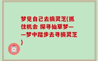 梦见自己去摘灵芝(抓住机会 探寻仙草梦——梦中踏步去寻摘灵芝)