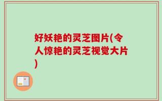 好妖艳的灵芝图片(令人惊艳的灵芝视觉大片)