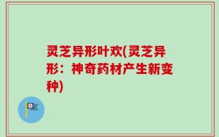 灵芝异形叶欢(灵芝异形：神奇药材产生新变种)