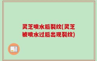 灵芝喷水后裂纹(灵芝被喷水过后出现裂纹)