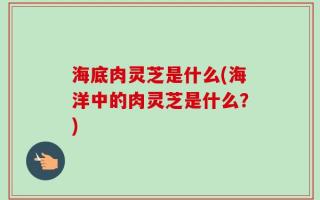 海底肉灵芝是什么(海洋中的肉灵芝是什么？)