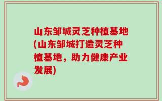 山东邹城灵芝种植基地(山东邹城打造灵芝种植基地，助力健康产业发展)