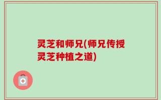 灵芝和师兄(师兄传授灵芝种植之道)