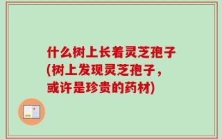 什么树上长着灵芝孢子(树上发现灵芝孢子，或许是珍贵的药材)