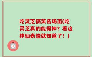 吃灵芝搞笑名场面(吃灵芝真的能提神？看这神仙表情就知道了！)