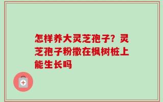 怎样养大灵芝孢子？灵芝孢子粉撒在枫树桩上能生长吗