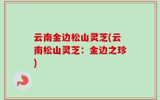 云南金边松山灵芝(云南松山灵芝：金边之珍)