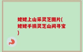 姥姥上山采灵芝图片(姥姥手摘灵芝山间寻宝)