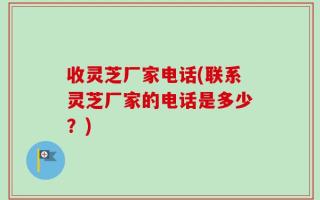 收灵芝厂家电话(联系灵芝厂家的电话是多少？)