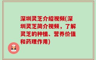 深圳灵芝介绍视频(深圳灵芝简介视频，了解灵芝的种植、营养价值和药理作用)