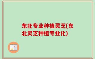 东北专业种植灵芝(东北灵芝种植专业化)