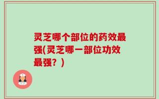 灵芝哪个部位的药效最强(灵芝哪一部位功效最强？)
