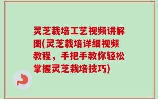 灵芝栽培工艺视频讲解图(灵芝栽培详细视频教程，手把手教你轻松掌握灵芝栽培技巧)