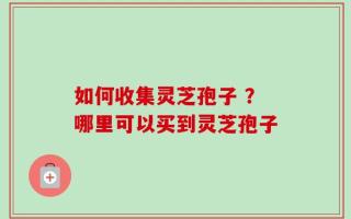 如何收集灵芝孢子 ？哪里可以买到灵芝孢子