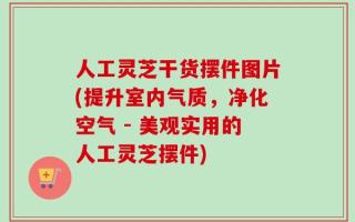 人工灵芝干货摆件图片(提升室内气质，净化空气 - 美观实用的人工灵芝摆件)