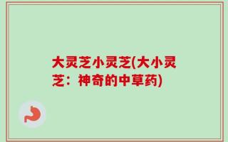 大灵芝小灵芝(大小灵芝：神奇的中草药)