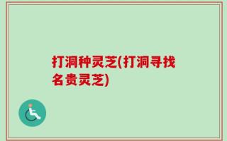 打洞种灵芝(打洞寻找名贵灵芝)