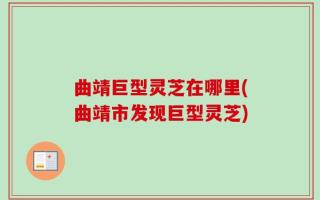 曲靖巨型灵芝在哪里(曲靖市发现巨型灵芝)
