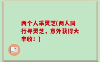 两个人采灵芝(两人同行寻灵芝，意外获得大丰收！)