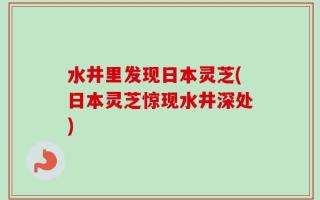水井里发现日本灵芝(日本灵芝惊现水井深处)