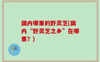 国内哪里的野灵芝(国内“野灵芝之乡”在哪里？)