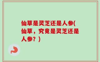 仙草是灵芝还是人参(仙草，究竟是灵芝还是人参？)
