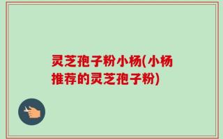 灵芝孢子粉小杨(小杨推荐的灵芝孢子粉)