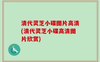 清代灵芝小碟图片高清(清代灵芝小碟高清图片欣赏)