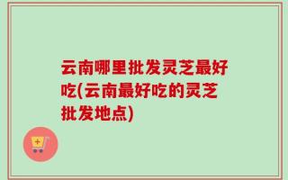 云南哪里批发灵芝最好吃(云南最好吃的灵芝批发地点)