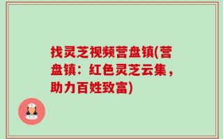 找灵芝视频营盘镇(营盘镇：红色灵芝云集，助力百姓致富)
