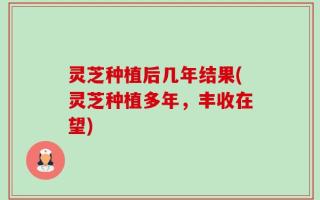 灵芝种植后几年结果(灵芝种植多年，丰收在望)