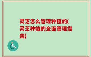 灵芝怎么管理种植的(灵芝种植的全面管理指南)