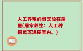 人工养殖的灵芝放在屋里(居家养生：人工种植灵芝进屋室内。)