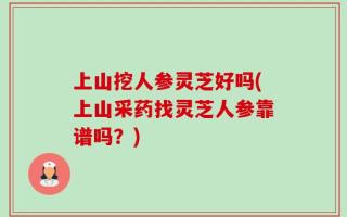 上山挖人参灵芝好吗(上山采药找灵芝人参靠谱吗？)