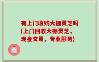 有上门收购大棚灵芝吗(上门回收大棚灵芝，现金交易，专业服务)