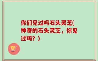 你们见过吗石头灵芝(神奇的石头灵芝，你见过吗？)