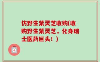 仿野生紫灵芝收购(收购野生紫灵芝，化身瑞士医药巨头！)