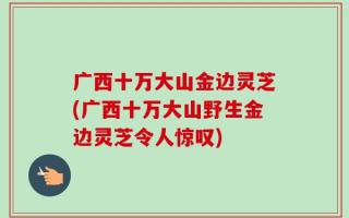 广西十万大山金边灵芝(广西十万大山野生金边灵芝令人惊叹)