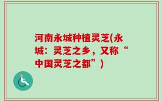 河南永城种植灵芝(永城：灵芝之乡，又称“中国灵芝之都”)