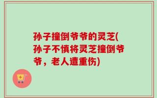孙子撞倒爷爷的灵芝(孙子不慎将灵芝撞倒爷爷，老人遭重伤)